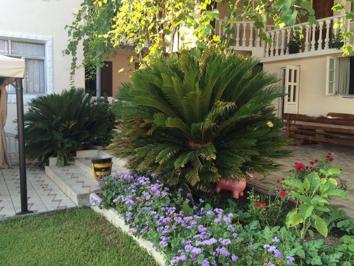Guest House Liel Sukhumi Bagian luar foto